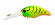 Воблер Kosadaka Spell XD (11,9г) TT Воблер Kosadaka Spell XD (11,9г) TT
