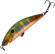 Воблер Kosadaka T-MINNOW XS 55SP сусп., 55мм, 3.25г, 0.1-0.5м, цв.PNT Воблер Kosadaka T-MINNOW XS 55SP сусп., 55мм, 3.25г, 0.1-0.5м, цв.PNT