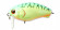 Воблер Kosadaka RAVEN SH 50F плав., 50мм, 8.7г, 0.0-0.3м, цв.HT RavSH50F-HT RavSH50F-HT Воблер Kosadaka RAVEN SH 50F плав., 50мм, 8.7г, 0.0-0.3м, цв.HT RavSH50F-HT RavSH50F-HT